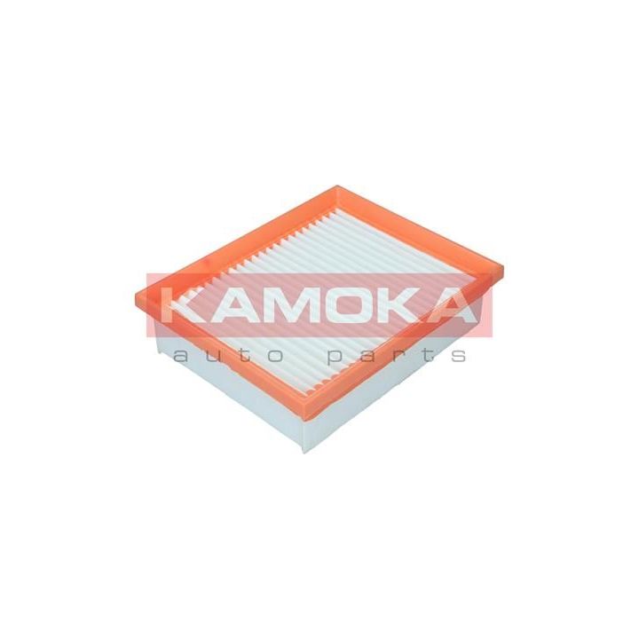 Oro filtras KAMOKA F253801