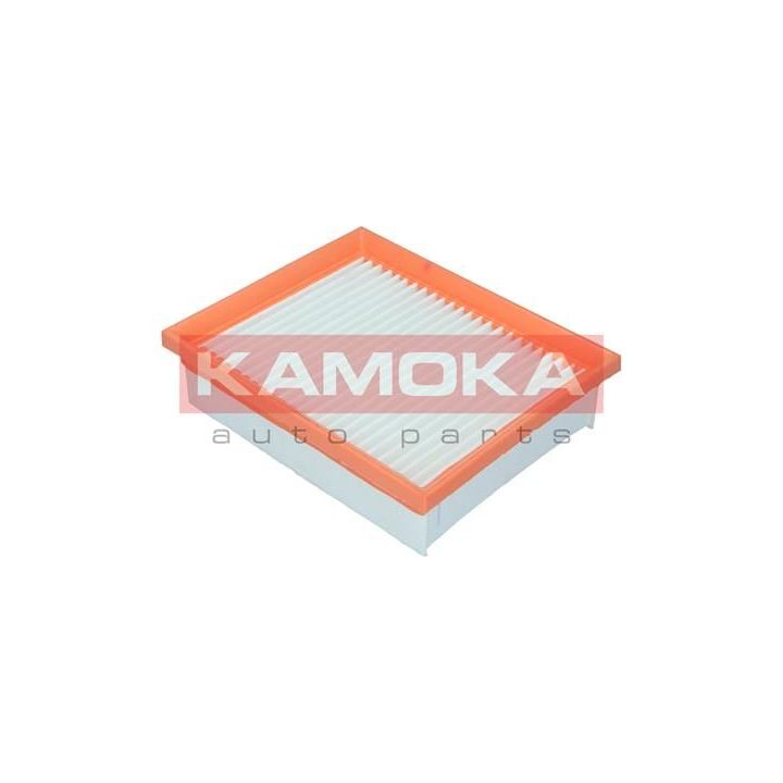 Oro filtras KAMOKA F253801