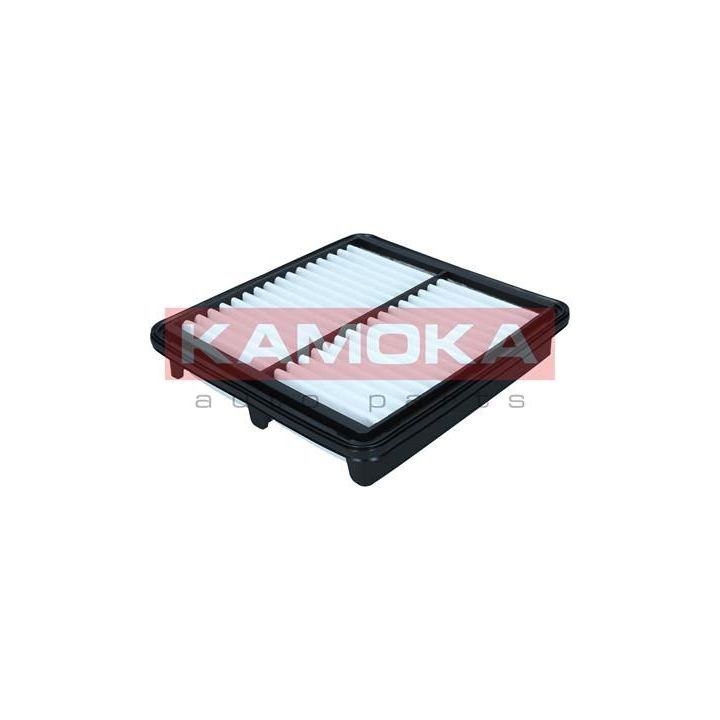 Oro filtras KAMOKA F257001