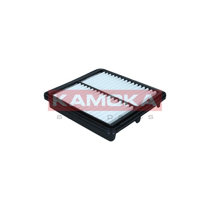 Oro filtras KAMOKA F257001