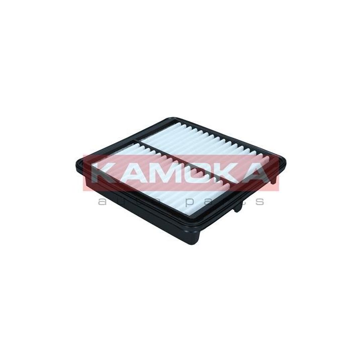 Oro filtras KAMOKA F257001