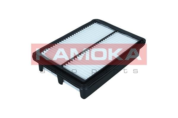 Oro filtras KAMOKA F257101