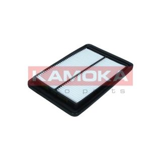 Oro filtras KAMOKA F257501