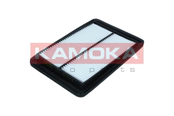 Oro filtras KAMOKA F257501