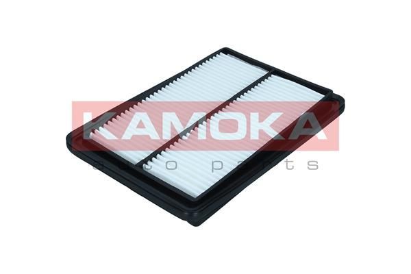 Oro filtras KAMOKA F257501