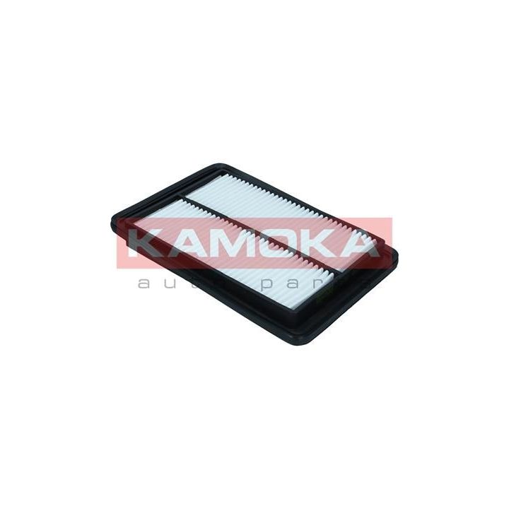 Oro filtras KAMOKA F257501