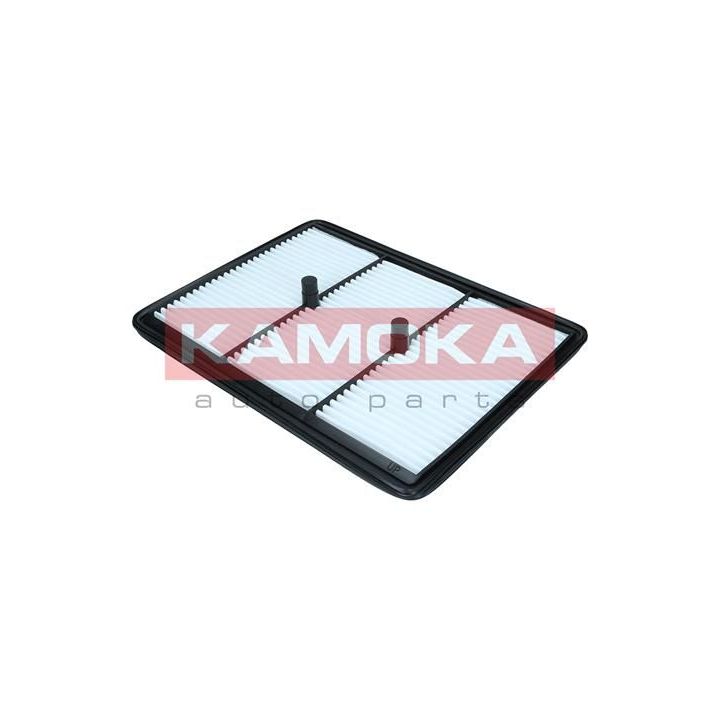 Oro filtras KAMOKA F259601