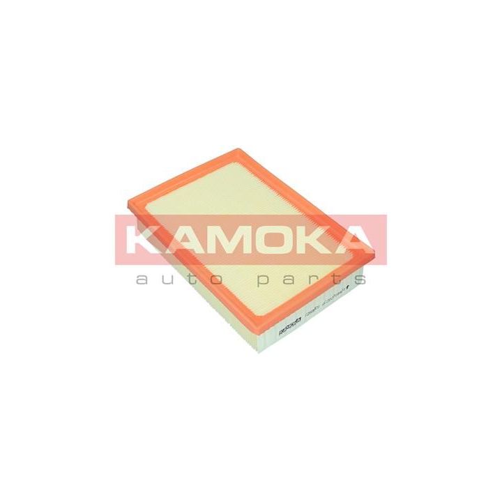 Oro filtras KAMOKA F259801