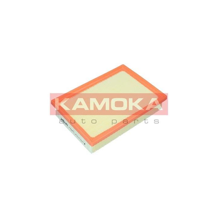 Oro filtras KAMOKA F259801