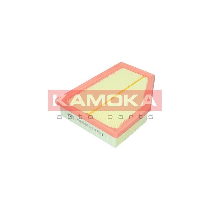 Oro filtras KAMOKA F259901