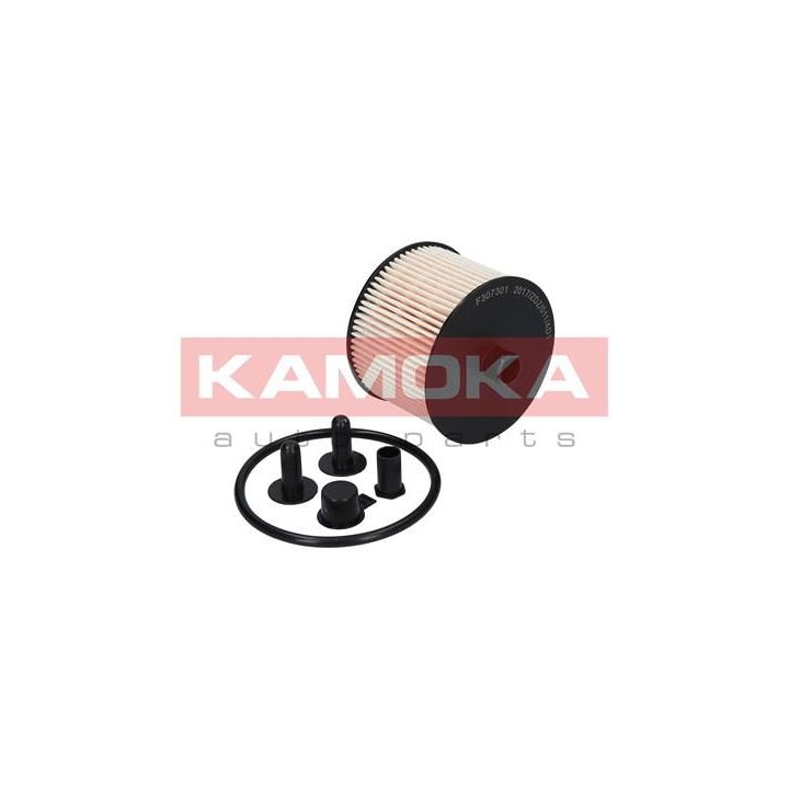 Kuro filtras KAMOKA F307301