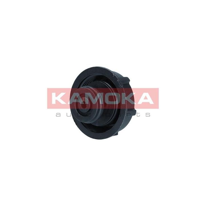 Dangtelis, radiatorius KAMOKA 7729013