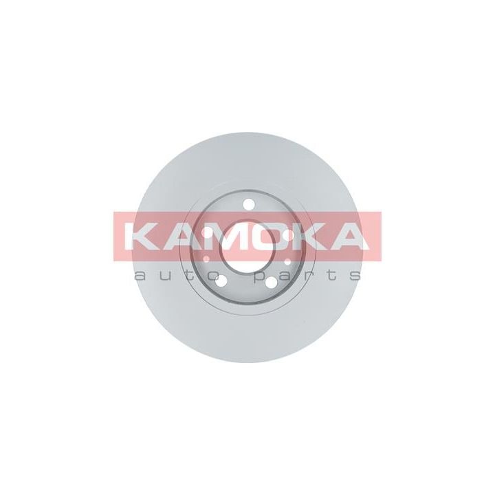 Stabdžių diskas KAMOKA 1031060