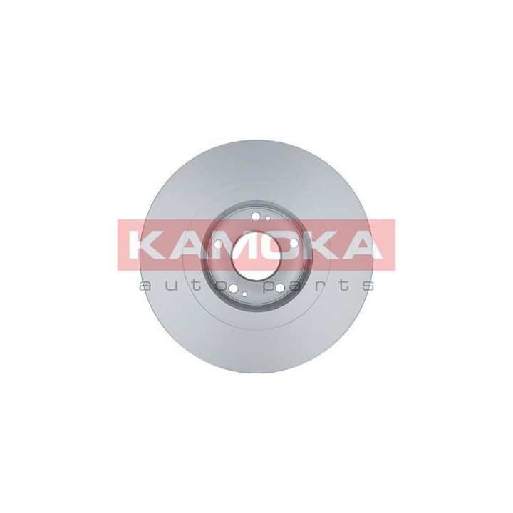 Stabdžių diskas KAMOKA 103291