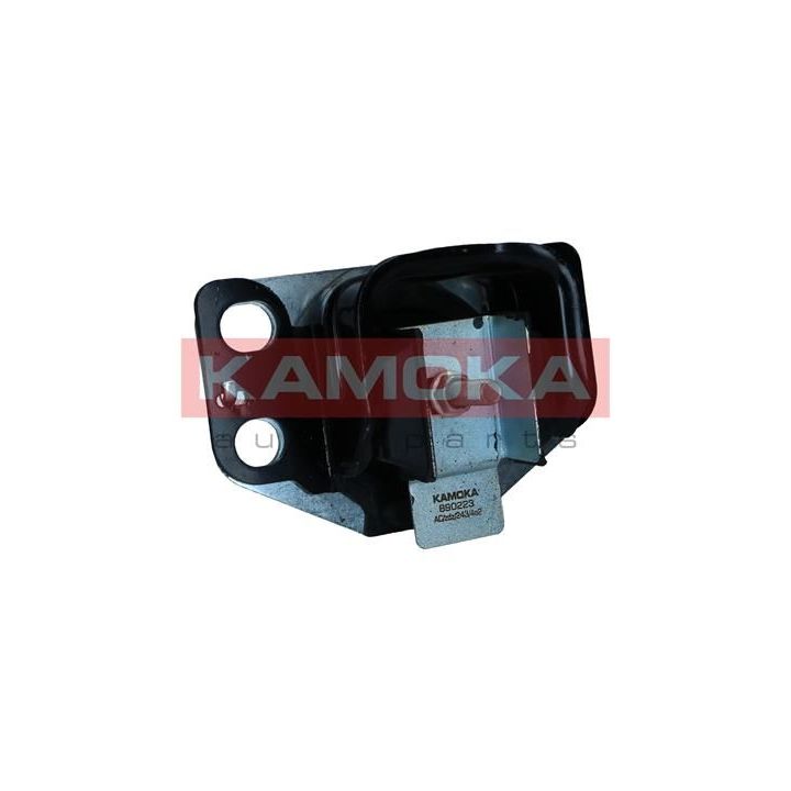 Variklio montavimas KAMOKA 890223