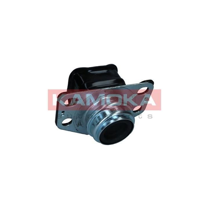 Variklio montavimas KAMOKA 890223