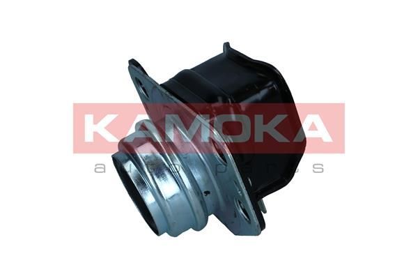 Variklio montavimas KAMOKA 890223