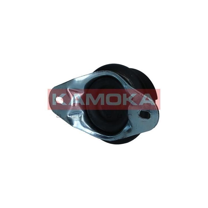 Variklio montavimas KAMOKA 890604