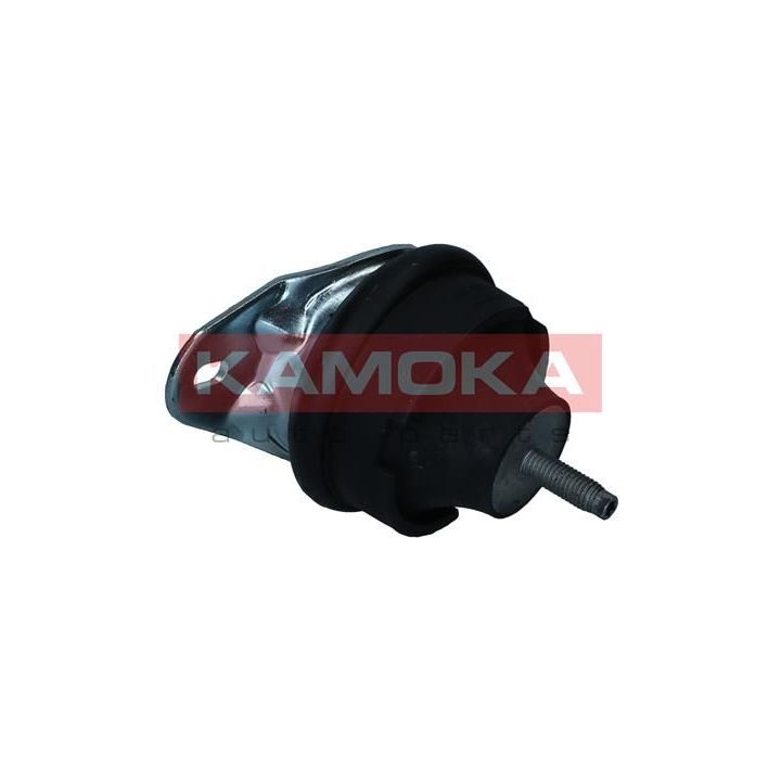 Variklio montavimas KAMOKA 890604