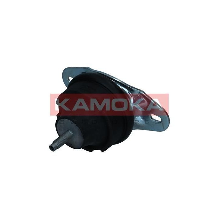 Variklio montavimas KAMOKA 890604