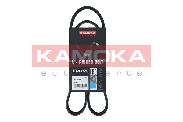 V formos rumbuoti diržai KAMOKA 7016029