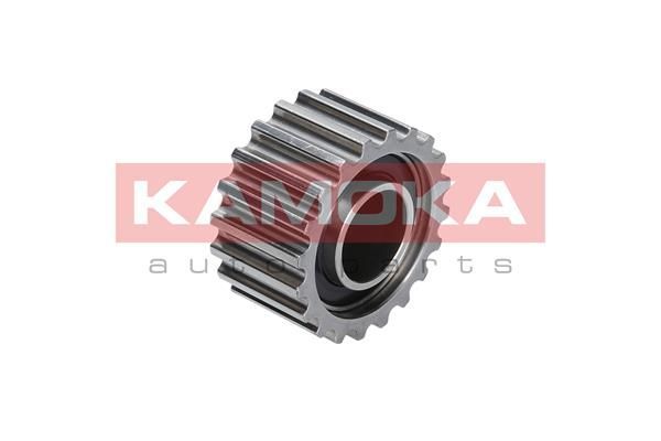 Kreipiantysis skriemulys, paskirstymo diržas KAMOKA R0165