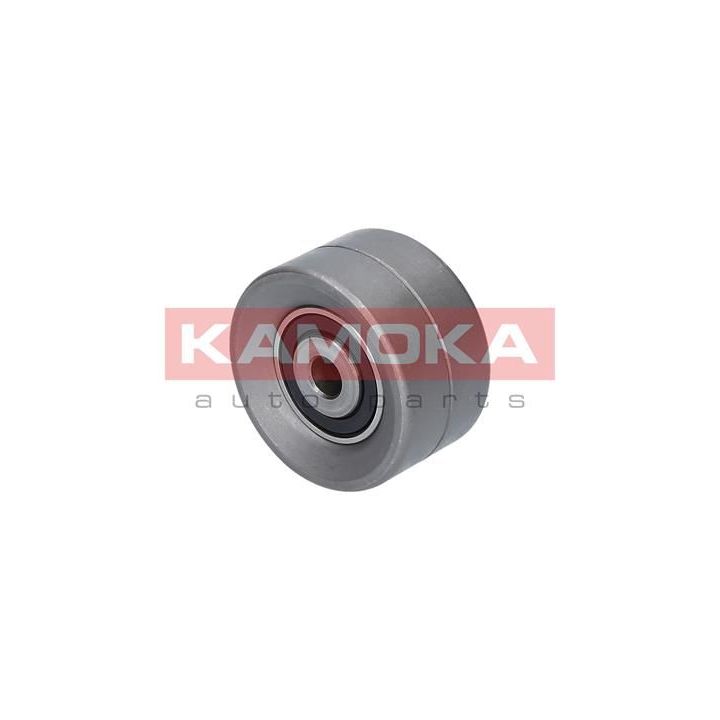 Kreipiantysis skriemulys, paskirstymo diržas KAMOKA R0278