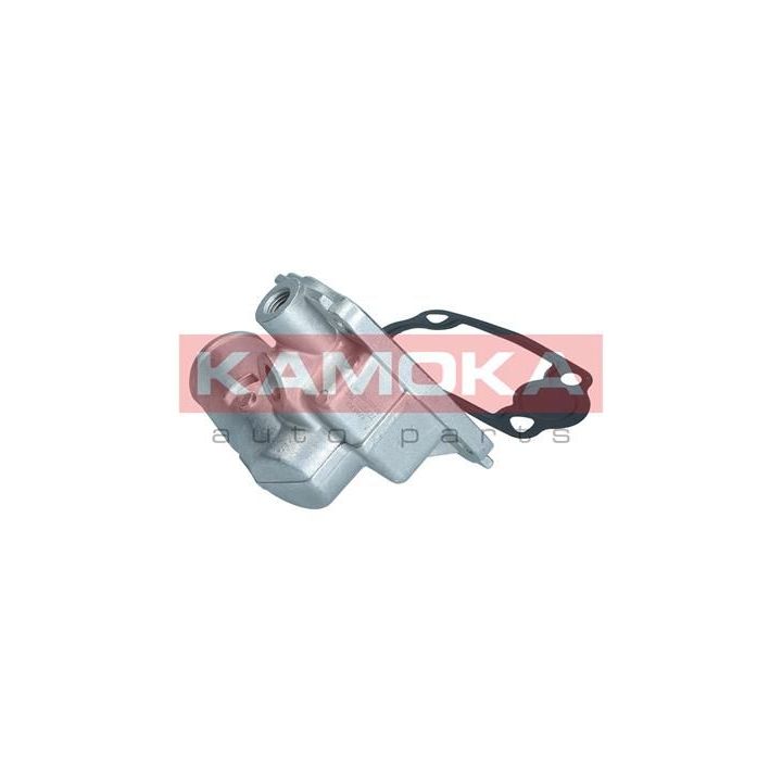 Termostatas, aušinimo skystis KAMOKA 7710271