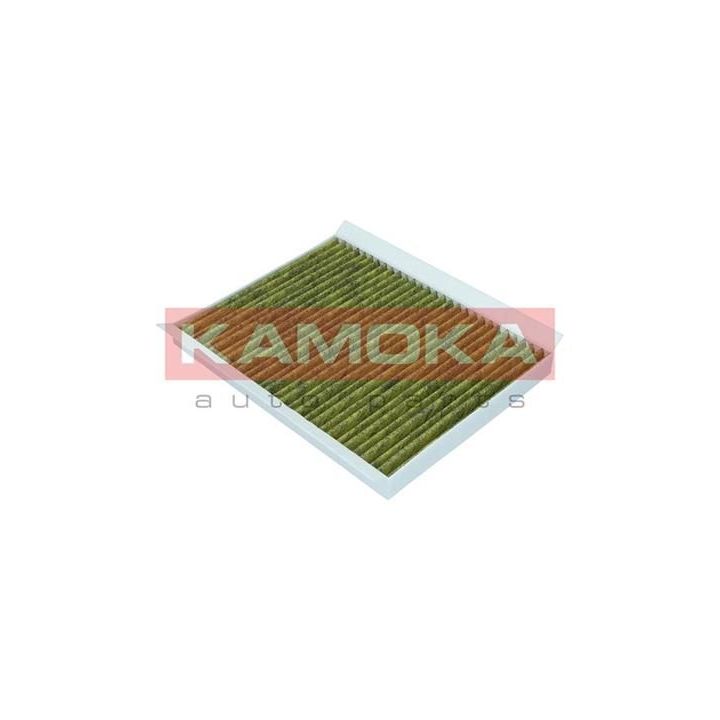 Filtras, salono oras KAMOKA 6080011