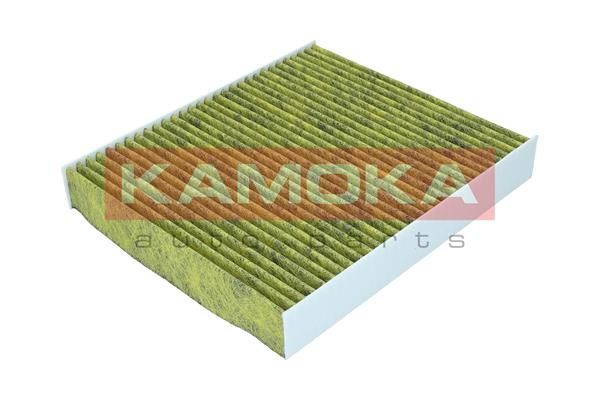 Filtras, salono oras KAMOKA 6080029