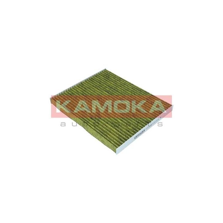 Filtras, salono oras KAMOKA 6080039