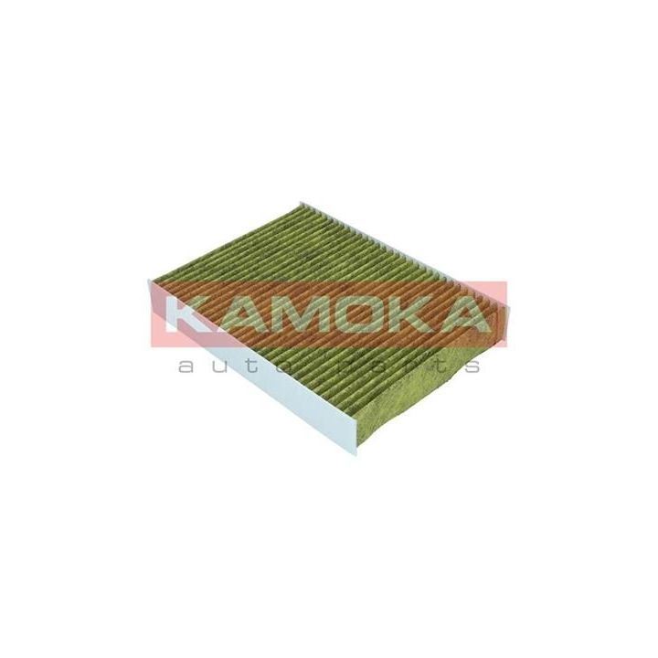 Filtras, salono oras KAMOKA 6080059