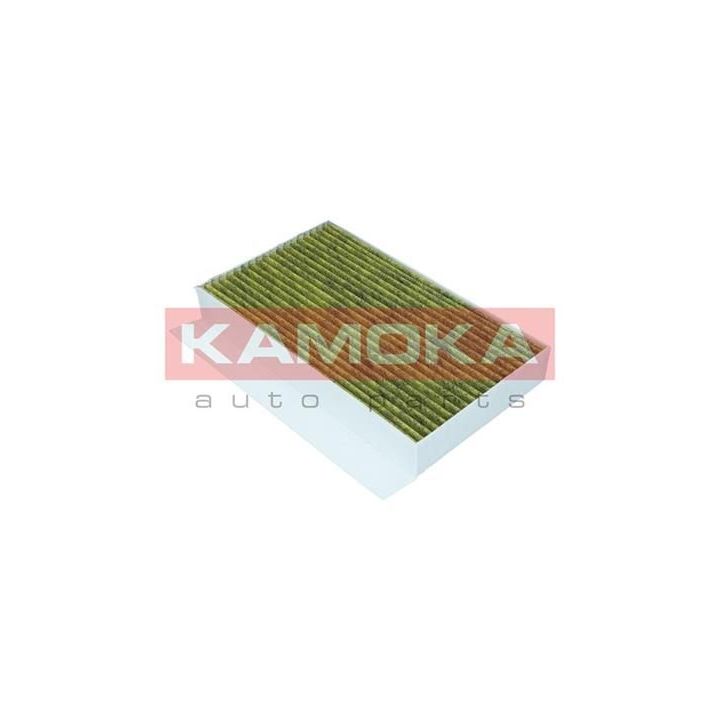 Filtras, salono oras KAMOKA 6080064