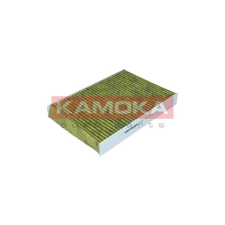 Filtras, salono oras KAMOKA 6080067