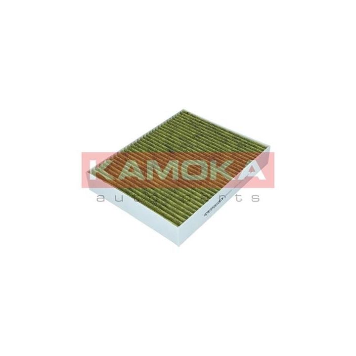 Filtras, salono oras KAMOKA 6080068