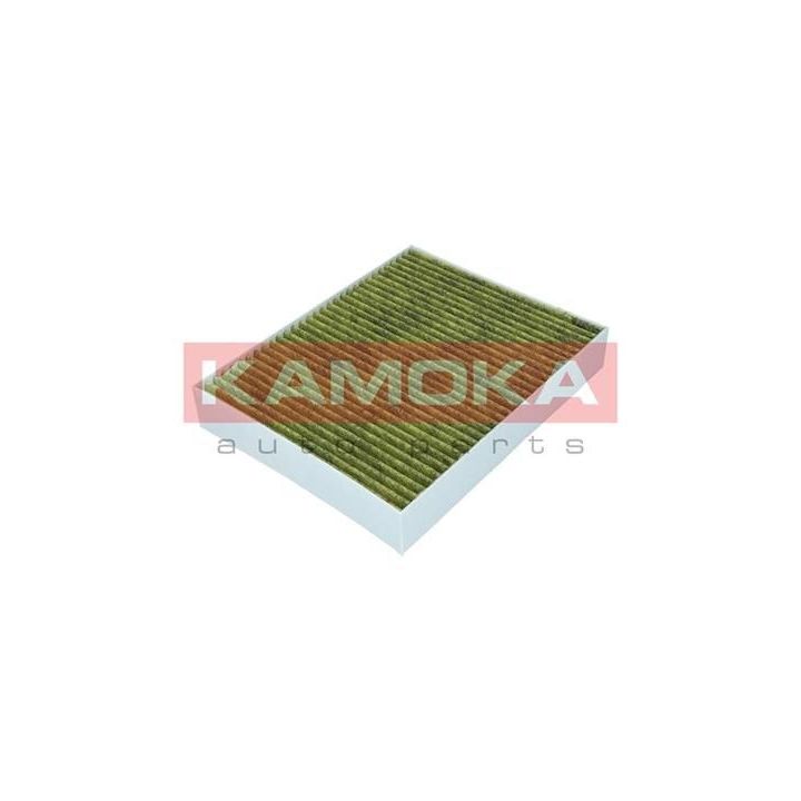 Filtras, salono oras KAMOKA 6080068