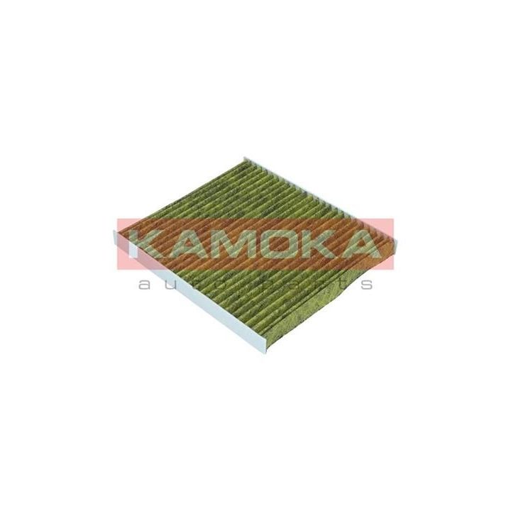 Filtras, salono oras KAMOKA 6080074
