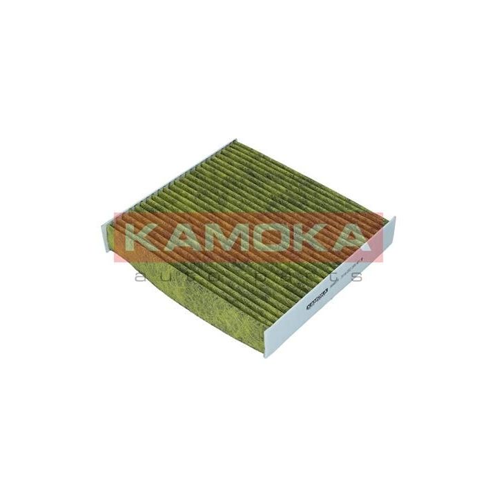 Filtras, salono oras KAMOKA 6080079