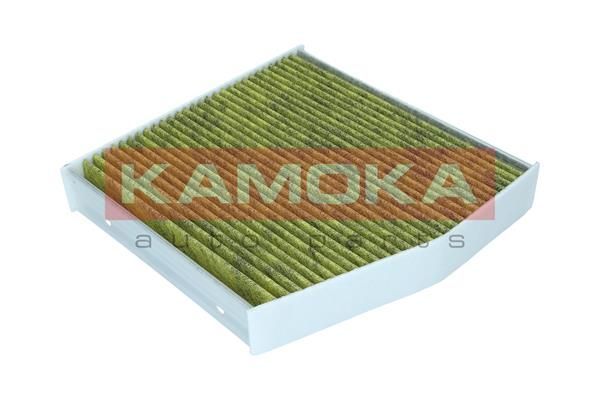 Filtras, salono oras KAMOKA 6080084
