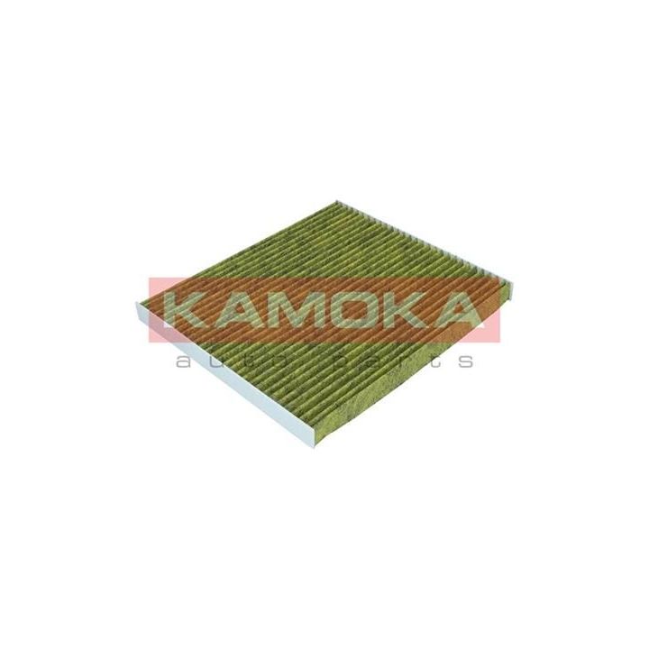 Filtras, salono oras KAMOKA 6080086