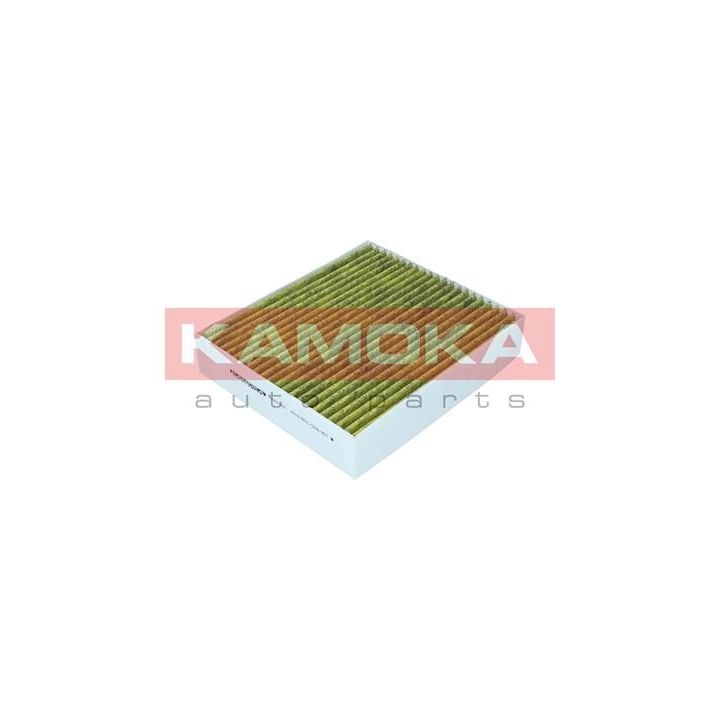 Filtras, salono oras KAMOKA 6080088