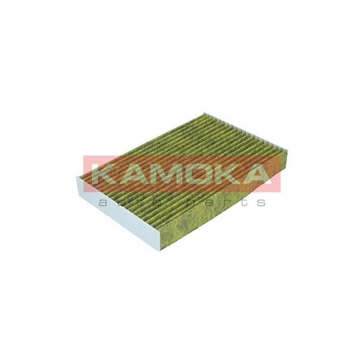 Filtras, salono oras KAMOKA 6080090