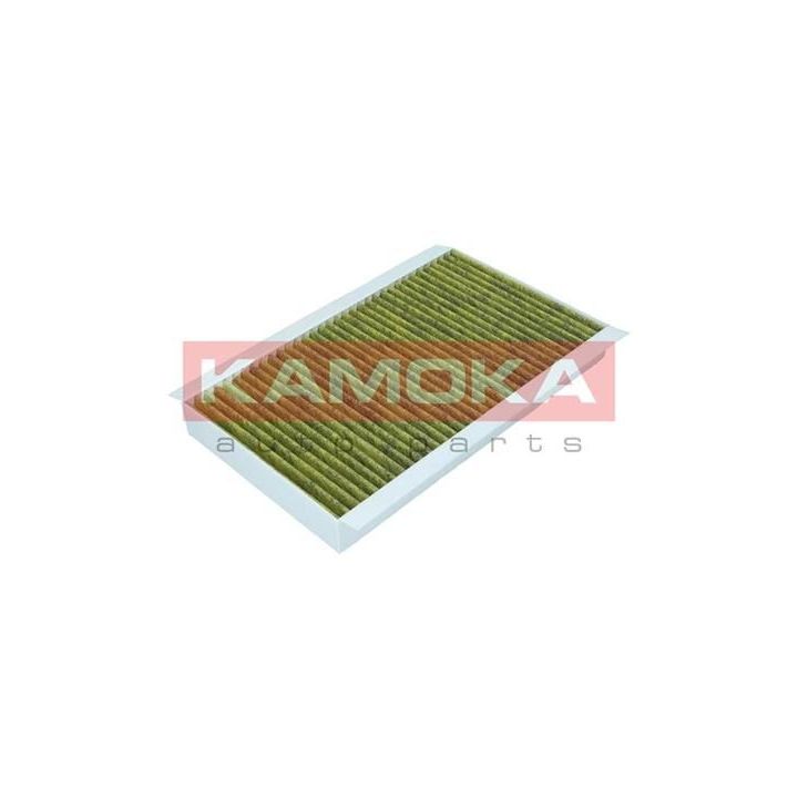 Filtras, salono oras KAMOKA 6080094