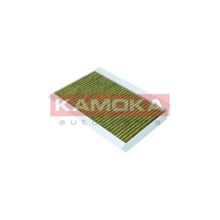 Filtras, salono oras KAMOKA 6080094