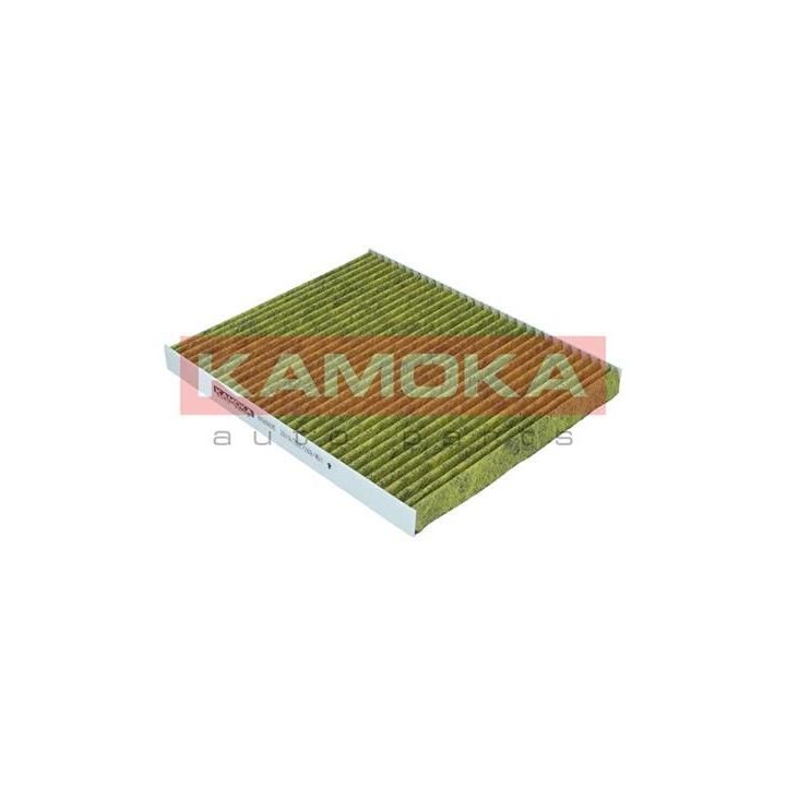Filtras, salono oras KAMOKA 6080095