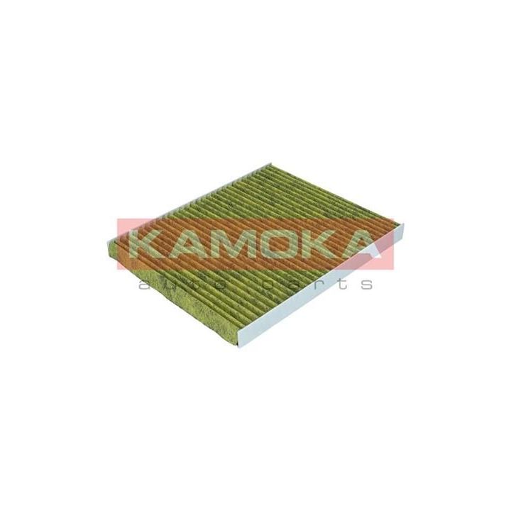 Filtras, salono oras KAMOKA 6080095