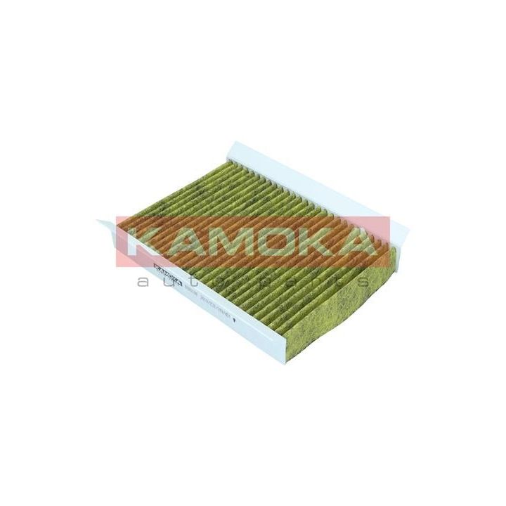 Filtras, salono oras KAMOKA 6080100