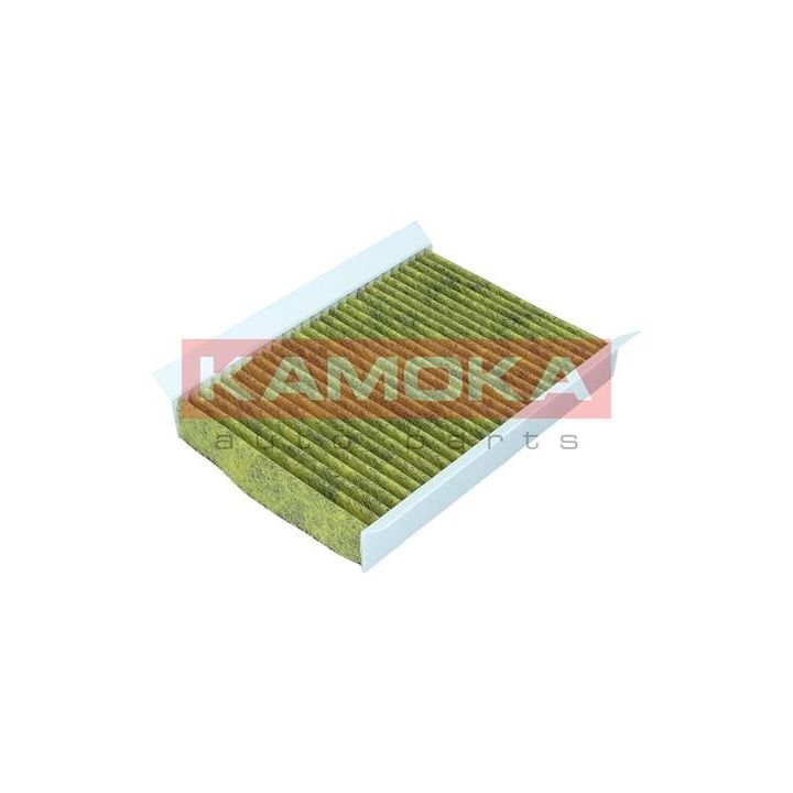 Filtras, salono oras KAMOKA 6080100