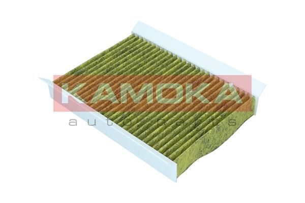 Filtras, salono oras KAMOKA 6080100