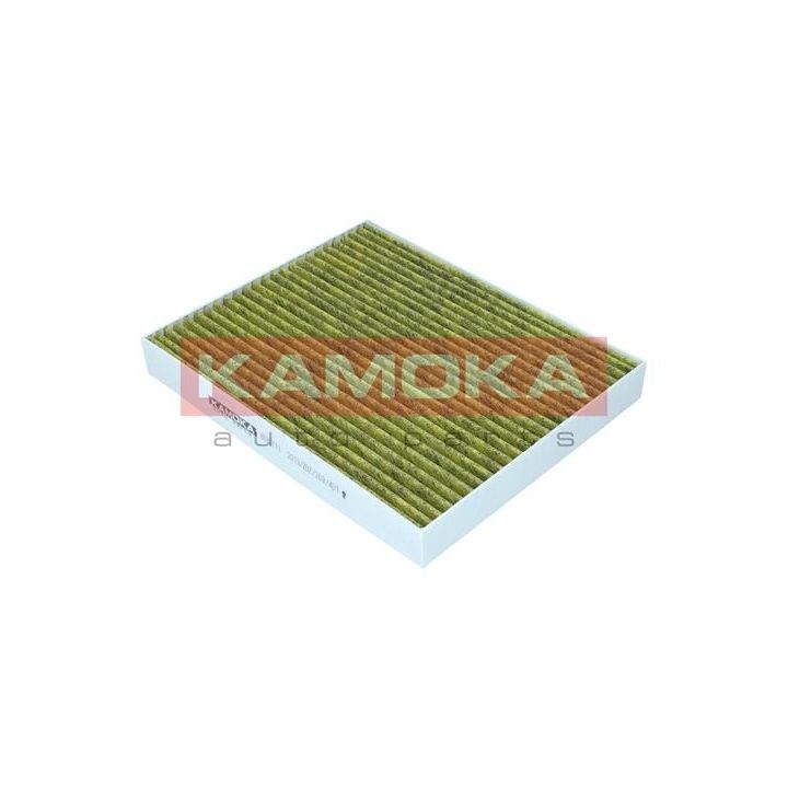 Filtras, salono oras KAMOKA 6080111